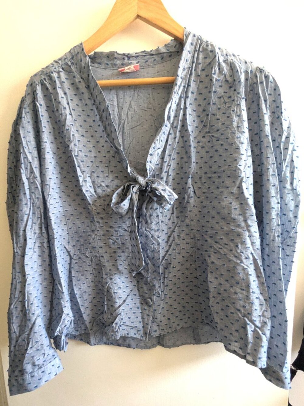 Heart of Haute Swiss dot pale blue blouse